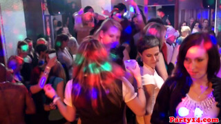 Party girls in stockings are naturals at sucking prick