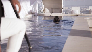 BLACKED Ariana gets the Longest Schlong of the Island