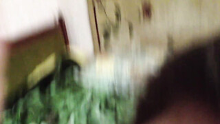 Amateur GF Sucks Off Her Favorite Dong