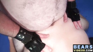 Big daddy bear with hot chubby booty hammered by two dicks