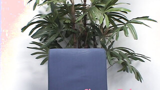 Sexy teen twins interviewed