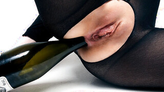 Champagne - Areana Fox