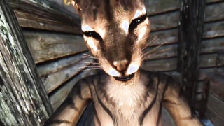Oral Pleasure & Doggystyle In Skyrim Porn Parody