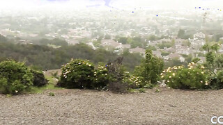 Danni Rivers & Vina Sky are toying & scissoring