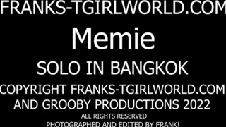 FRANK'S TGIRL WORLD: Another Shoot With Meme!