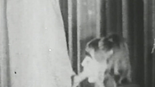 Retro babe sucks huge cock before it smashes her unshaved muff