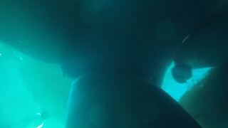 Stunning Alix Lynx masturbates in her erotic lingerie