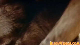 Retro gay porn horny muscle men huge cock sucking sixtynine