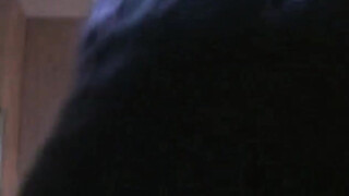 Naughty Babe Blowjob Big Dick BBW in confort room