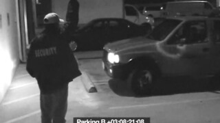 Whore blows security guard to get out of fine