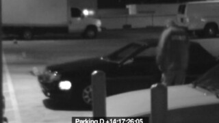 Dick slut sucks off security attendant