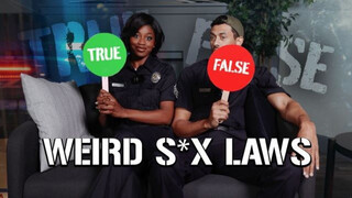 Pornstars Get Naughty with US Sex Laws