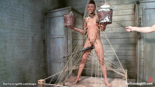 Master whip ebony during training